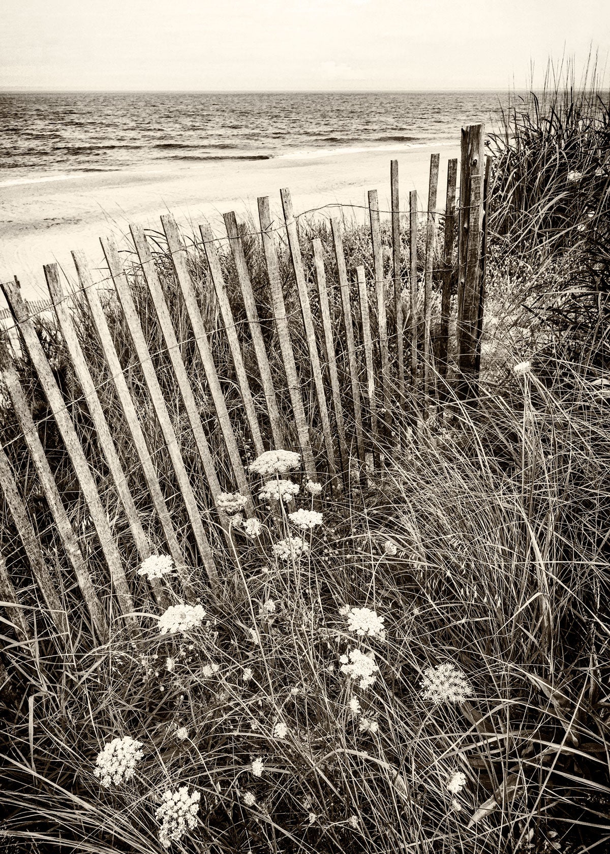 Vintage Style Herring Point Cape Henlopen