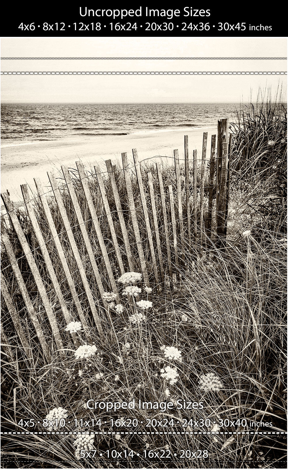 Vintage Style Herring Point Cape Henlopen