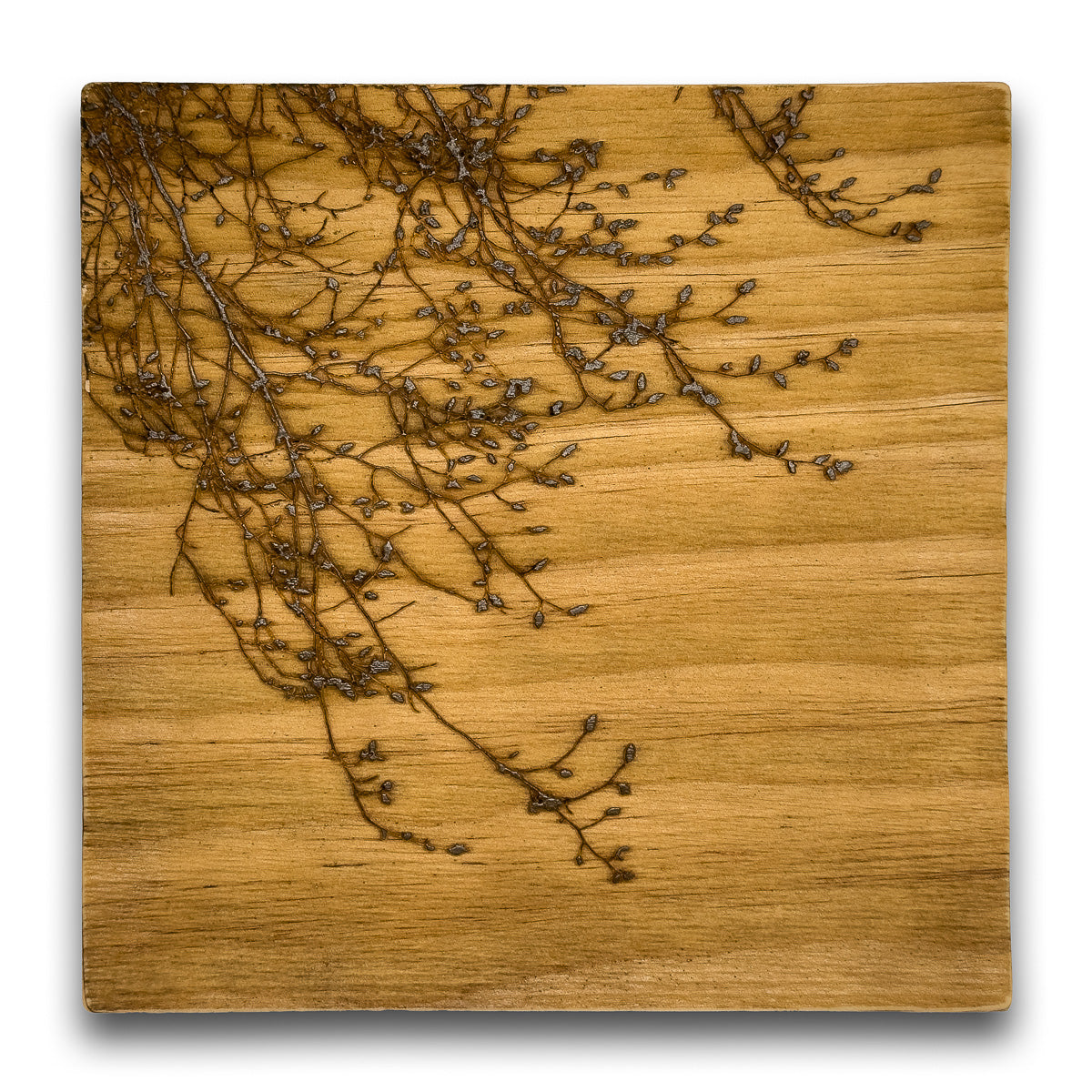 Laser engraved Tree silhouette on reclaimed wood