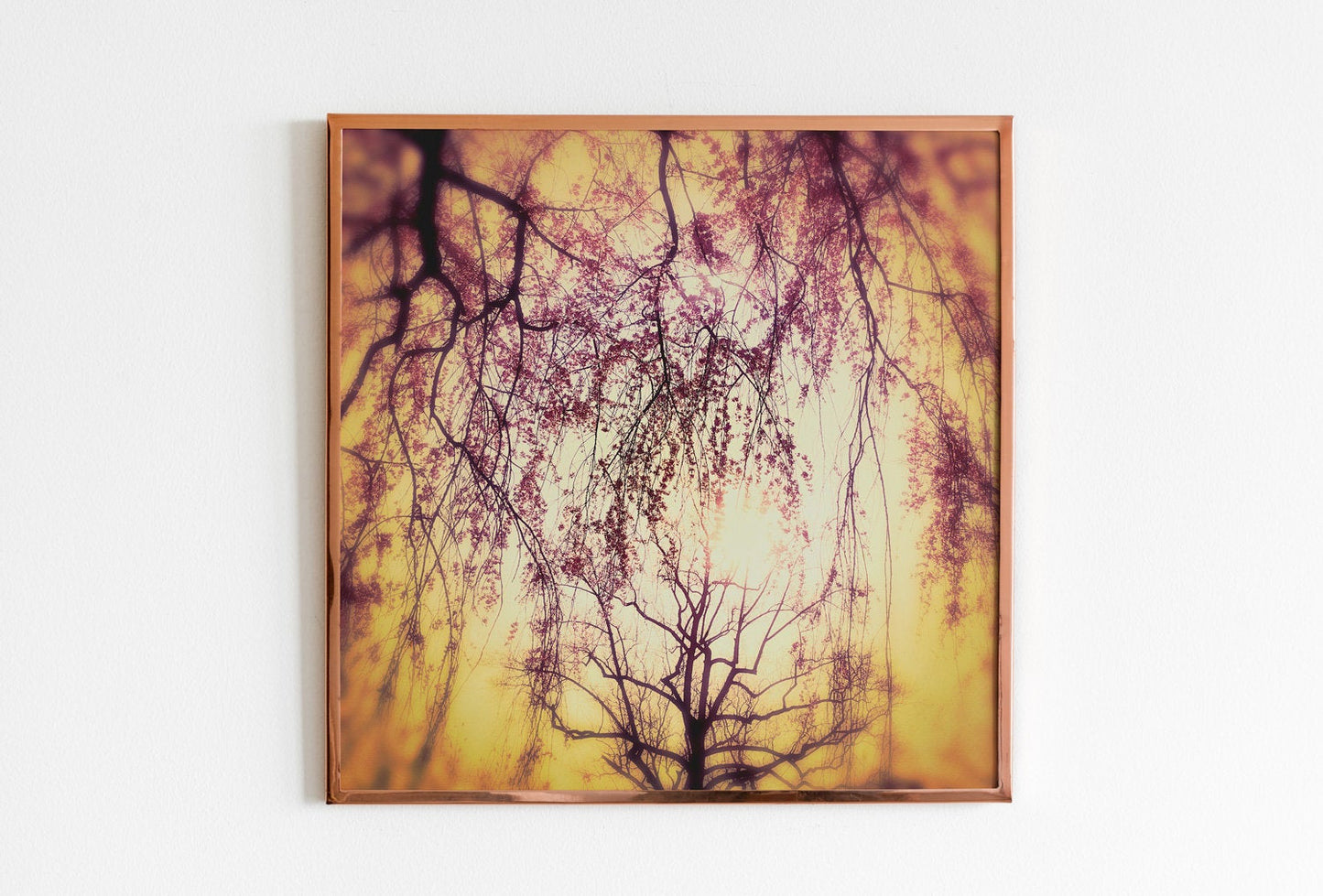 Spring Cherry Blossom Flower Photograph, Muted Pink Vintage Style Fine Art Print, Cherry Blossom Art, Spring Cherry Photo Wall Art