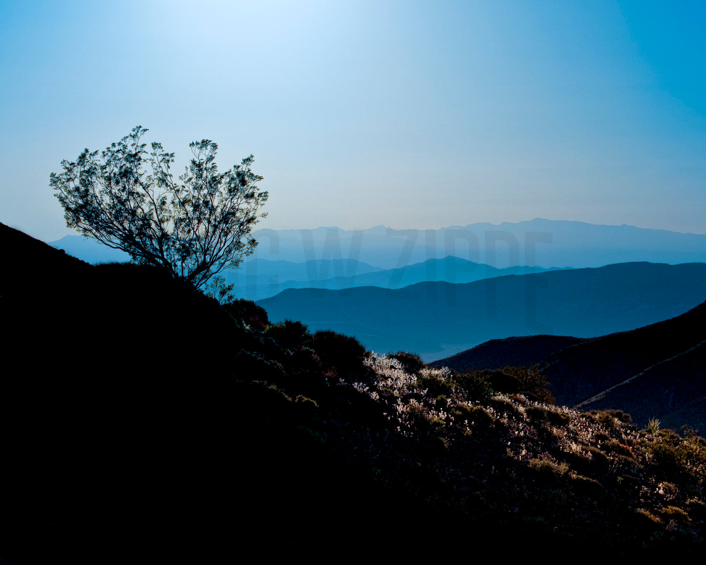 Southwest Art, Landscape Photography, Southwest Photography, Southwest Decor, Death Valley California, Black Blue Art Mesquite