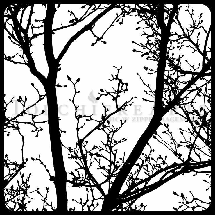 Tree Silhouette, Tree Photography, winter tree, Bare tree Photograph print