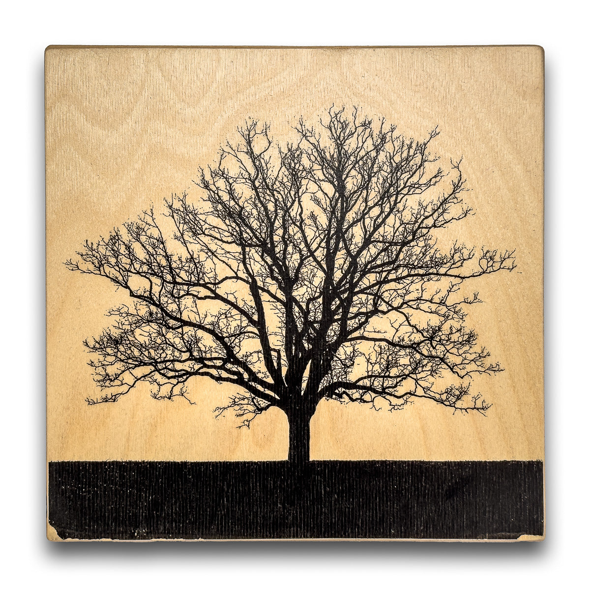 Winterthur Oak woodprint 8"x8"