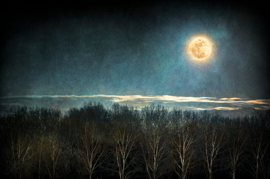 "Moonrise over Treasure Valley" Near Boise, Idaho