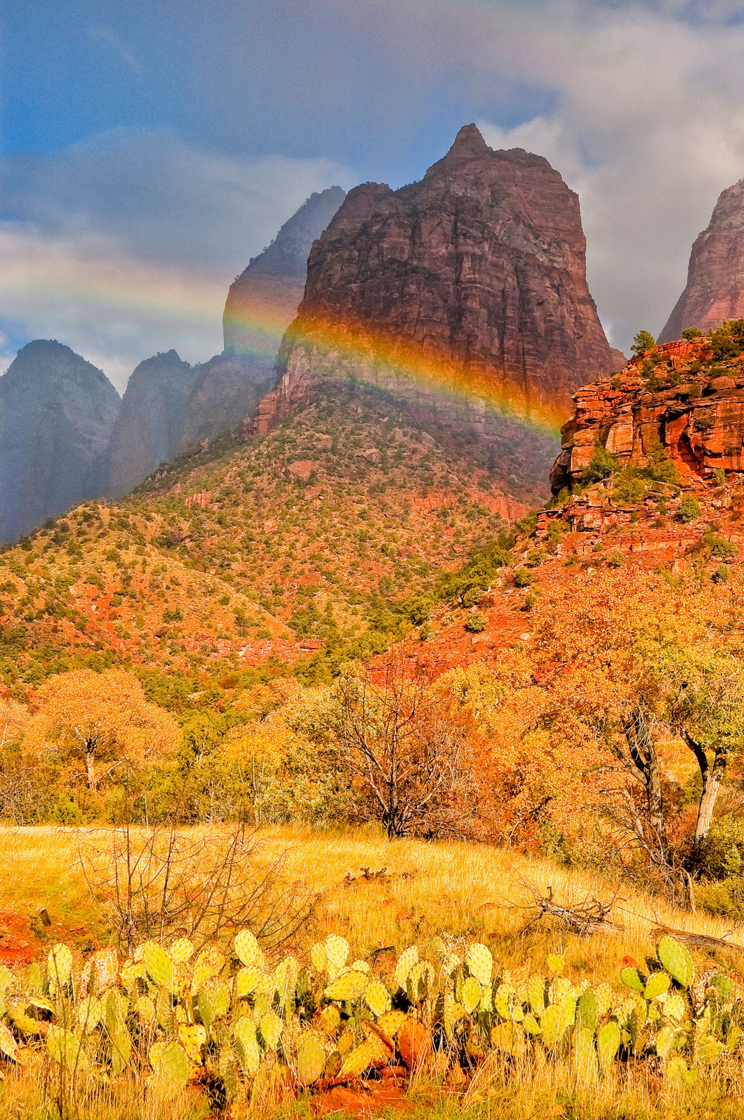 Rainbow Photography In Zion National Park Utah, Desert Art, South West Photography, Utah Photography, Desert Photography, Rainbow Art