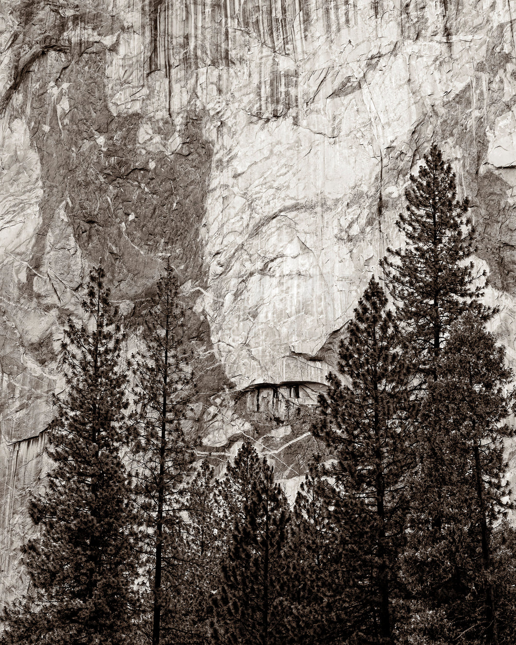 Yosemite National Park, California Photography, California Landscape Wall Art, El Capitan, Black And White Fine Art Photograph