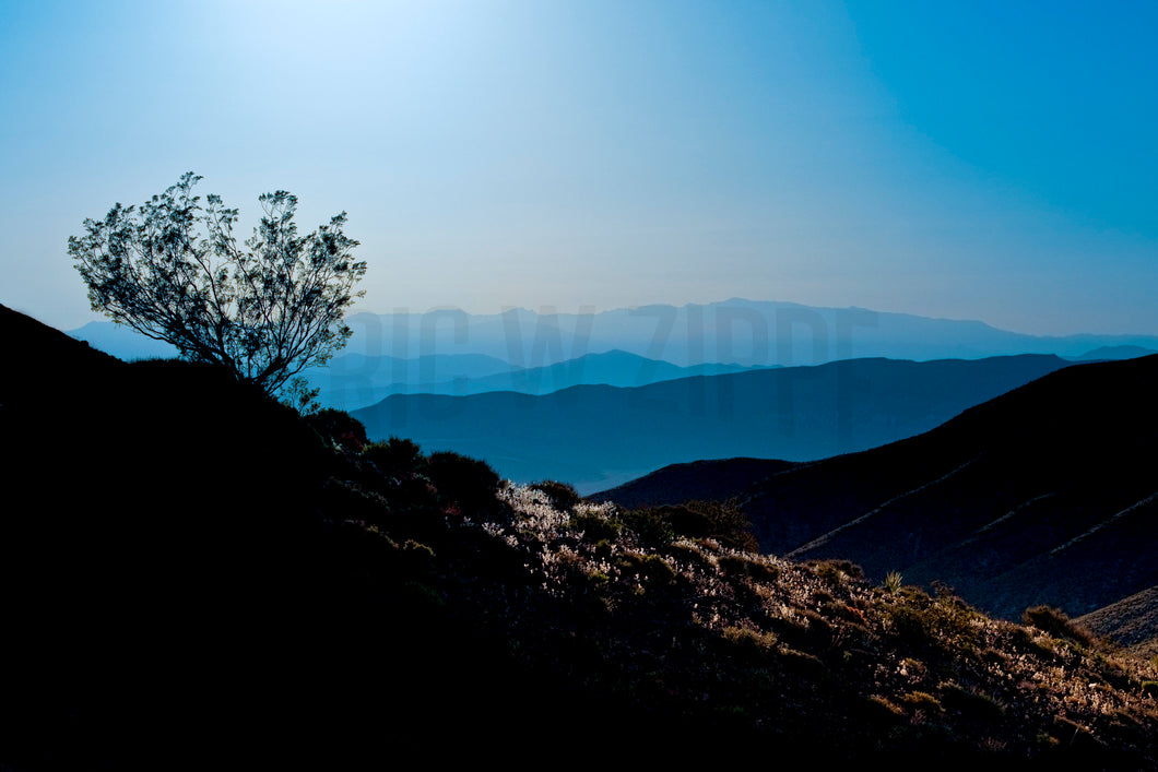 Southwest Art, Landscape Photography, Southwest Photography, Southwest Decor, Death Valley California, Black Blue Art Mesquite