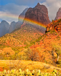 Rainbow Photography In Zion National Park Utah, Desert Art, South West Photography, Utah Photography, Desert Photography, Rainbow Art