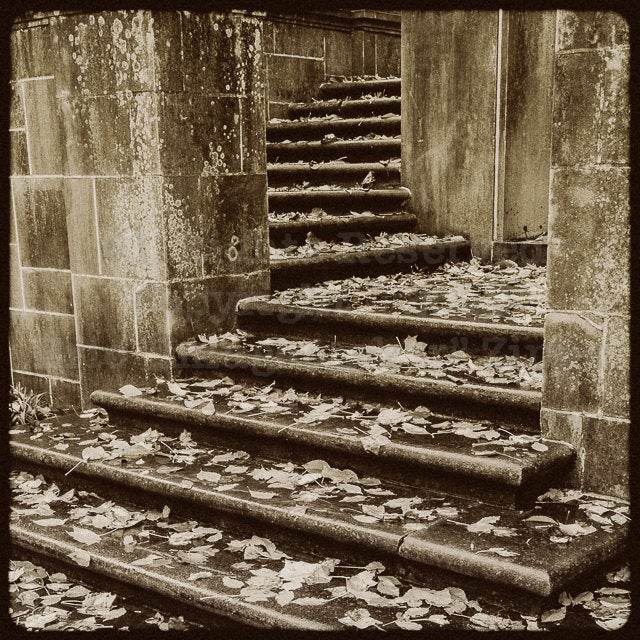 Black and White Architecture Photography, Stone Staircase At Winterthur Museum, Delaware Photography, Autumn Stairs Art, Fall Photography