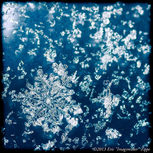 Snowflake Photography, Winter Art, Blue Art, Snow White Ice, Navy Winter Photography, Snowflake Art, Nature Wall Art, Macro Photography