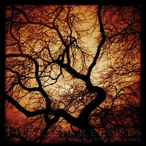 Tree Silhouette Art, Orange Black Art, Spooky Halloween Tree, Tree Art, Eerie Twisted Tree Silhouette, Bare Tree Photography Print, Wall Art