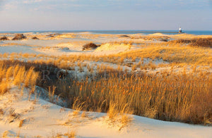 Cape Henlopen Delaware Beach Dunes, Blue And Gold Art, East Coast Mid Atlantic Lighthouse, Lewes Fine Art Photography, 8x12 Print Wall Art