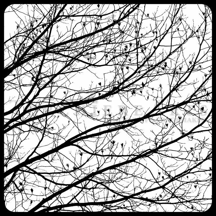 Bare Tree Silhouette, Winter Tree Photography, Bare Tree Art, Black And White Photography Print, Tulip Poplar Art, Liriodendron Wall Art