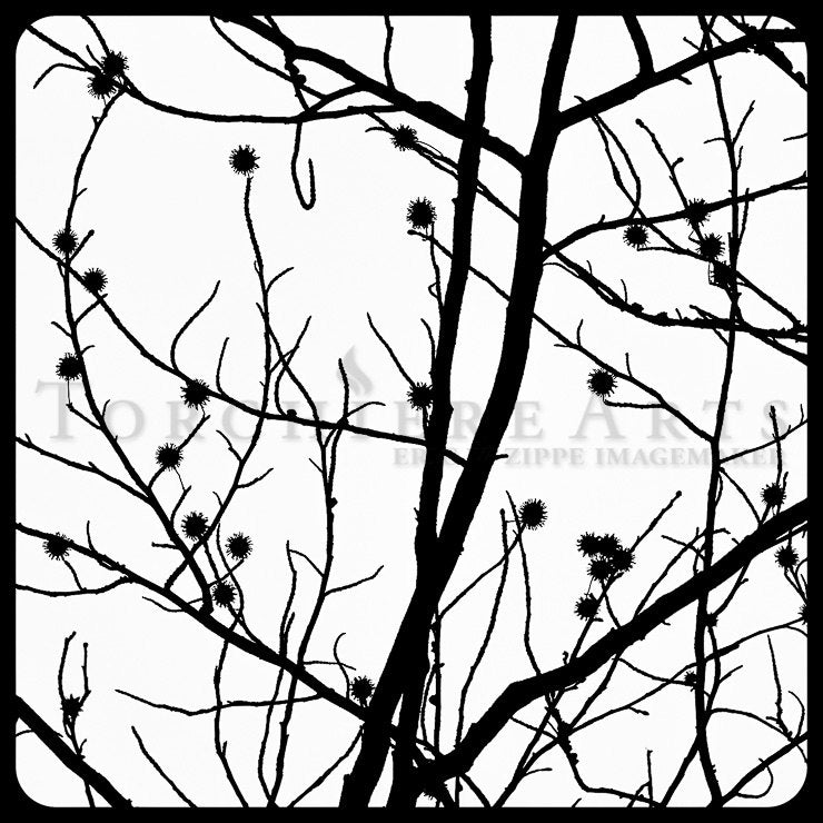 Black And White Tree Silhouette Photography, Tree Photography, Winter Tree Wall Art, Bare Tree Art Print, Sweet Gum Art, Liquidambar