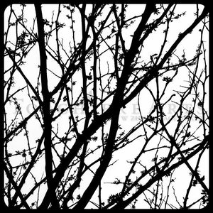 Tree Silhouette, Red Bud, Tree Photography, winter tree, Bare tree Photograph print