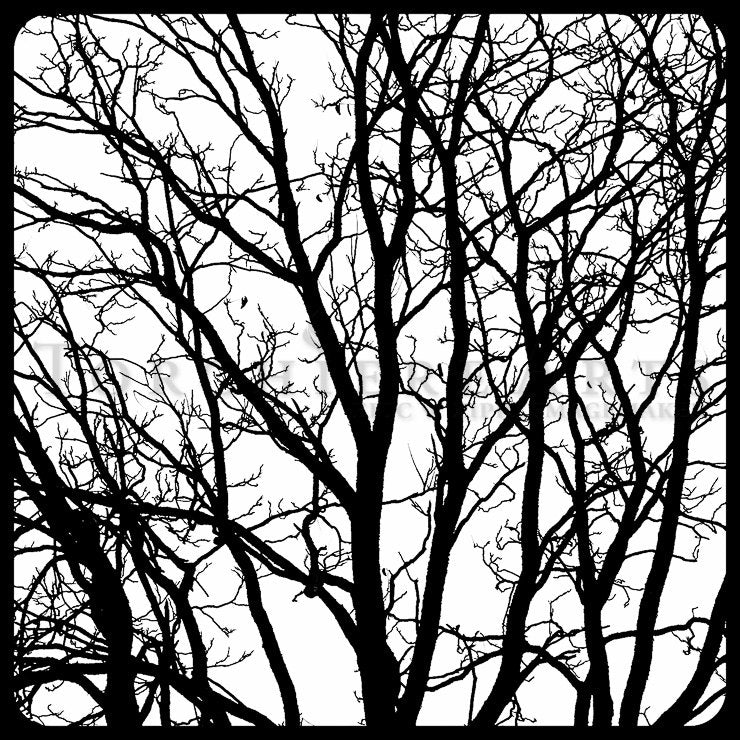 Tree Silhouette, Tree Photography, winter tree, Bare tree Photograph print