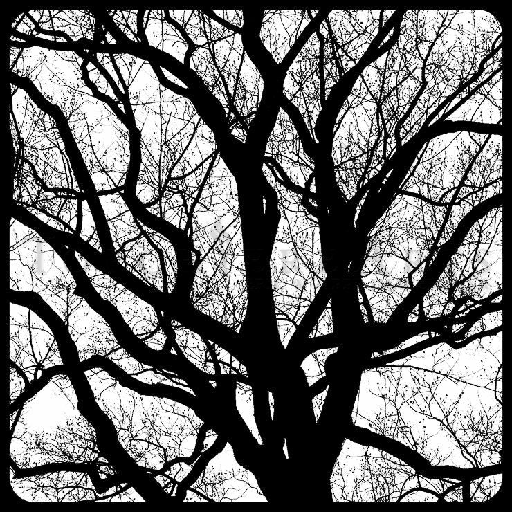 Tree Form Silhouette, Tree Photography, winter tree, Bare tree Photograph print